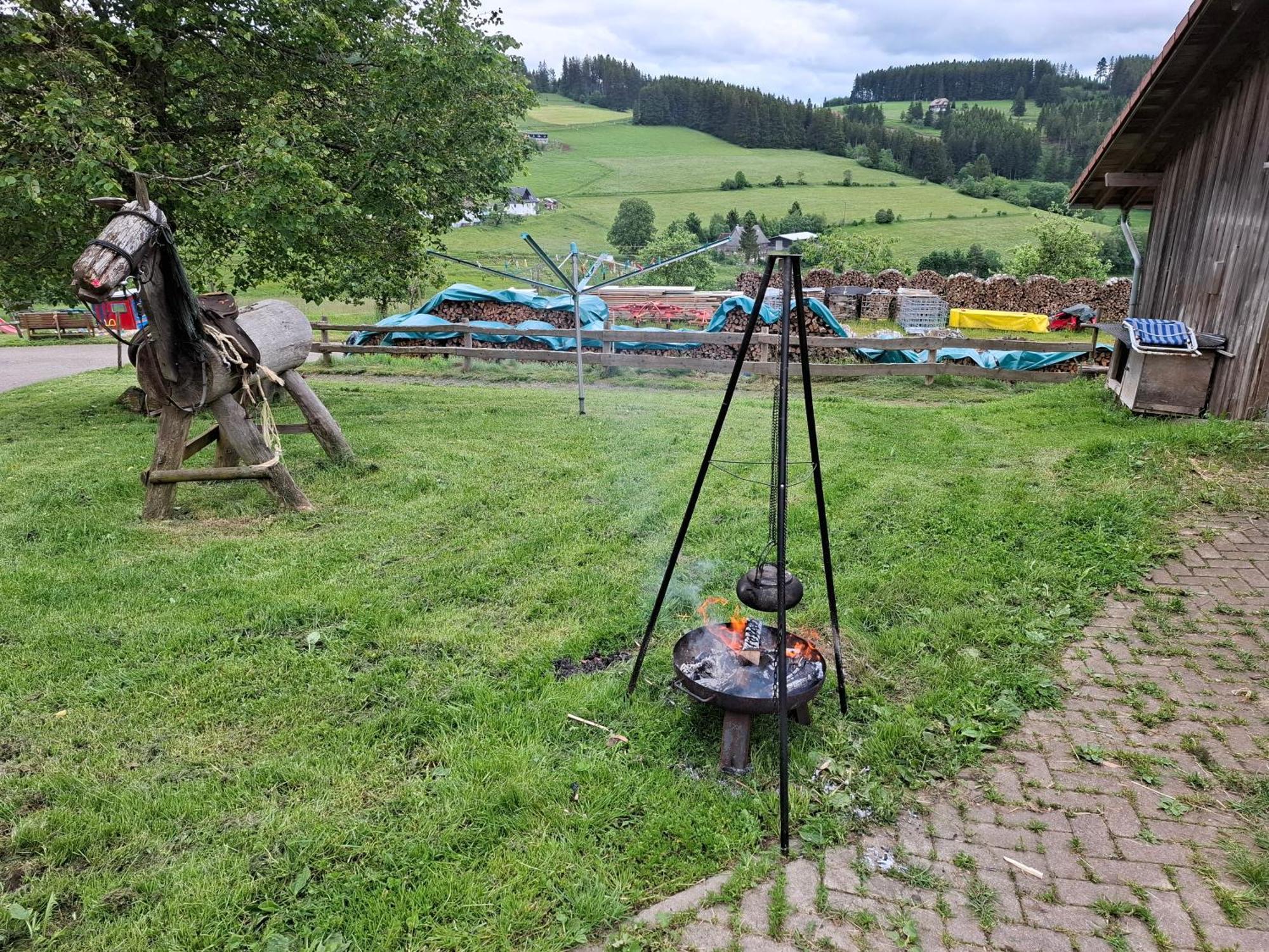 蒂蒂湖-新城Schwarzwaldstube公寓 外观 照片